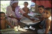 Coal Dust Briquettes for Nature Conservation