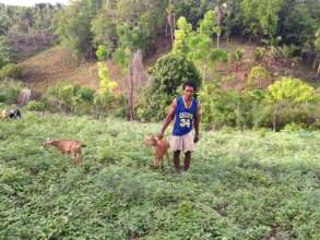 Goat livelihood project