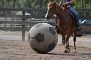 A little soccer game on Help a Horse Day!