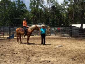 David working with the mustangs and volunteers
