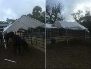 The shelters after a few months!