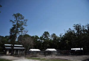 The temporary shelters