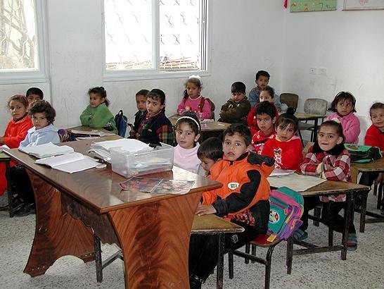 Empowering Palestinian Families through Jobs