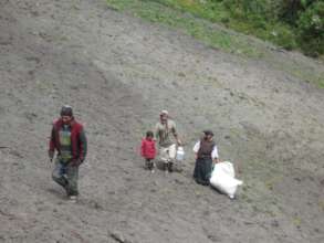 Large-scale arable sustainable plans