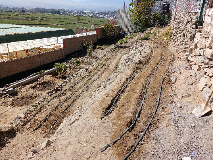 Drip-irrigation vegetable garden