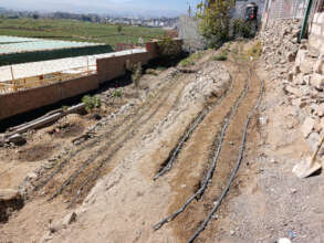 Drip-irrigation vegetable garden