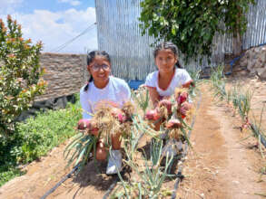 Sharing vegetables with families in Peru