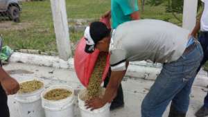 Plan Cafe in Honduras