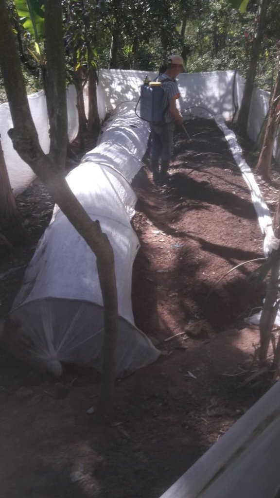 Plan Huerto in Honduras