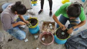 Recycling water container for indoor gardens