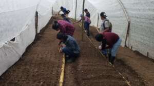 New vegetable gardens in Honduras
