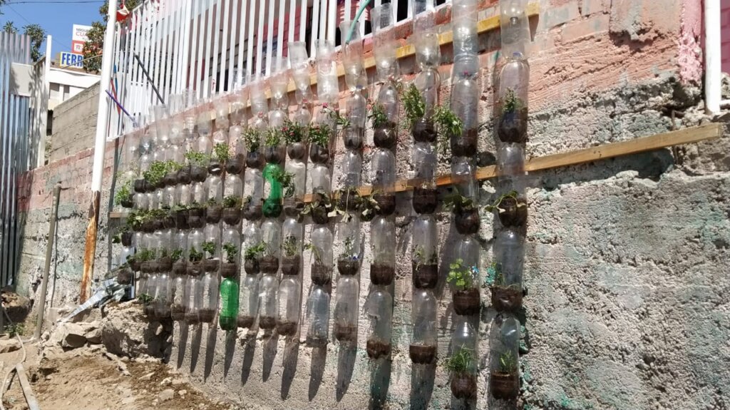 Hydroponic agriculture trials