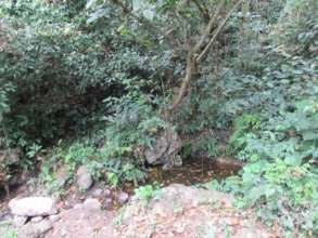 The only source of water for many families