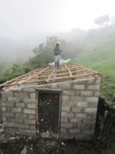 Animal homes at altitude