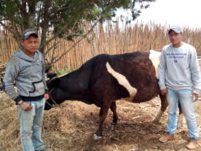 Plan Moo helps further education