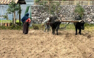 Preparing land in Ecuador