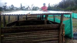 Plan Chancho house in Ecuador