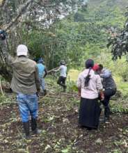 Large-scale Plan Huerto preparation