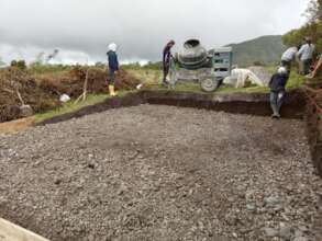 Plan Cuy gets underway