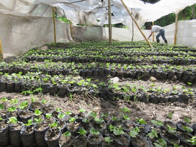 Sustainable Income Plans in Latin America