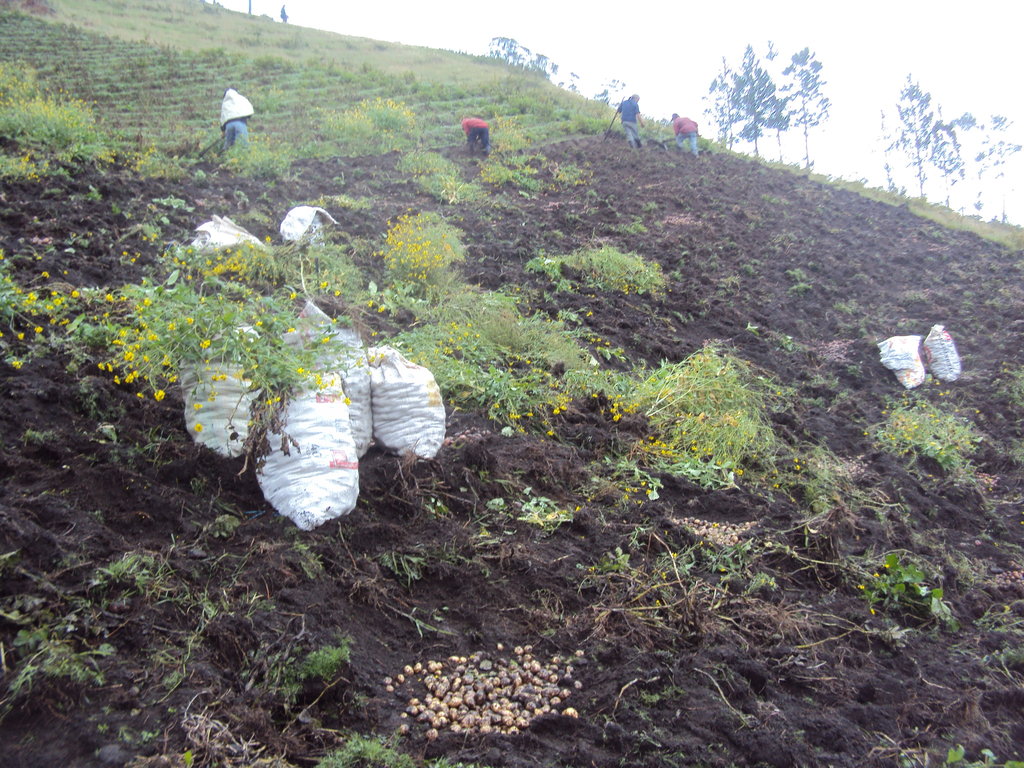 Sustainable Income Plans in Latin America