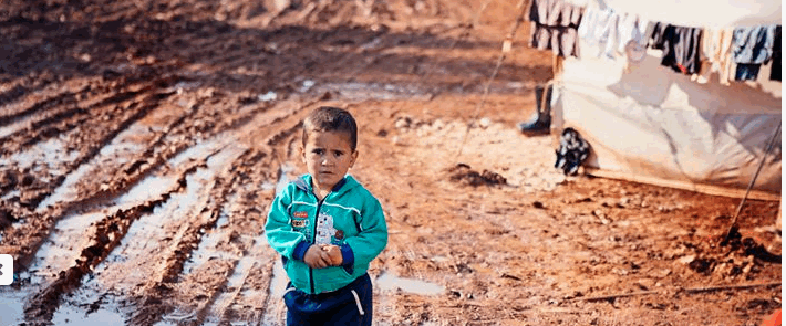 Seeds for Syria