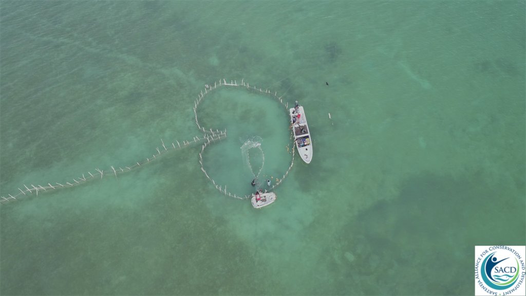 Beachtrap, part of the Pesca Tour