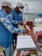 Fish sampling