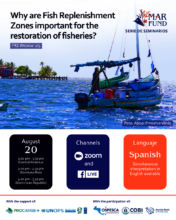 Webinar poster