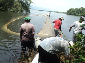 Monitoring of fish in the Chachaguala lagoon