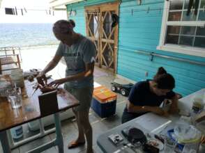 Gathering data