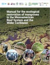 Mangroves restoration in the MAR manual cover