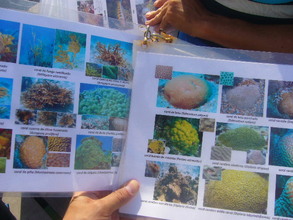 Sub aquatic material used by the monitoring team.