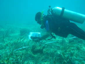 Reef monitoring in Puerto Morelos National Park