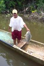 Fisherman in Río Dulce