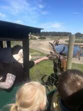 Outdoor Activity, Summercamp Barnets Bla Hus