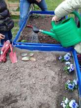 Gardening at the center