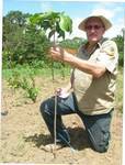 Project Leader tagging a John Hodgsons tree