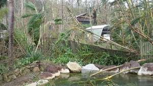 Cyclone Yasi Damage