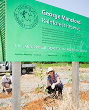 tree planting