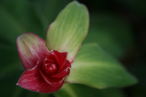Nature's treasure trove