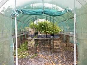 Nursery Damage