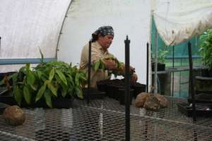 More Nursery Work