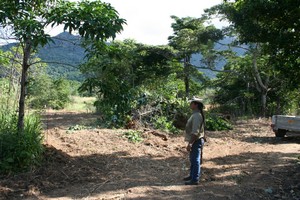 survey and new site prep