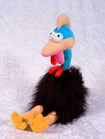Adult Cassowary