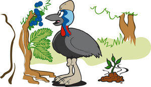Rainforest cartoon