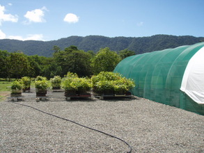Nursery