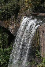 Waterfall in the rainforest