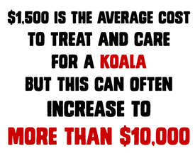 The cost to treat koalas