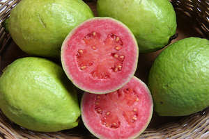 Guava or Guayaba